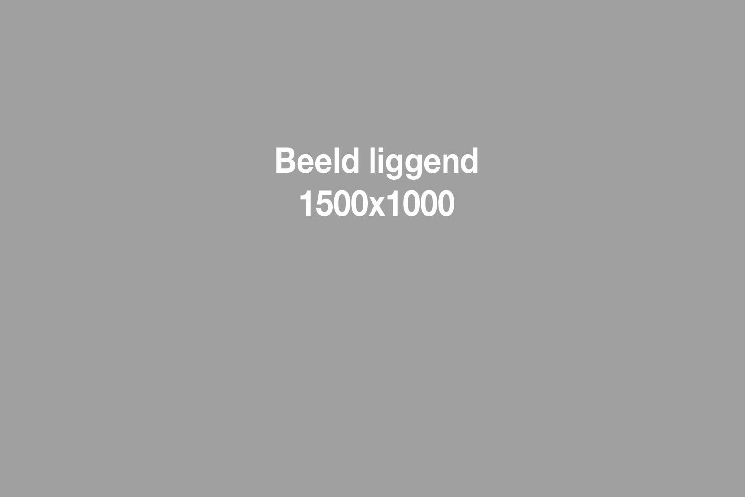beeld liggend