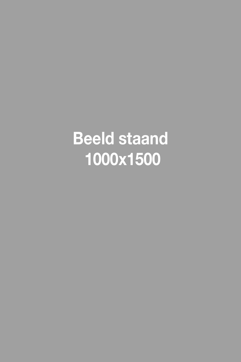 beeld staand