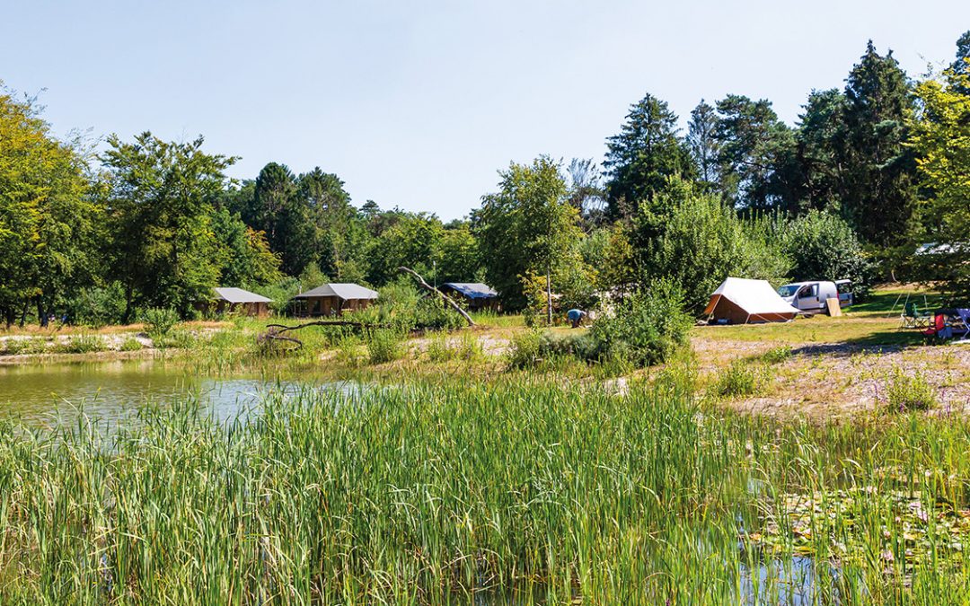 Camping Börkerheide