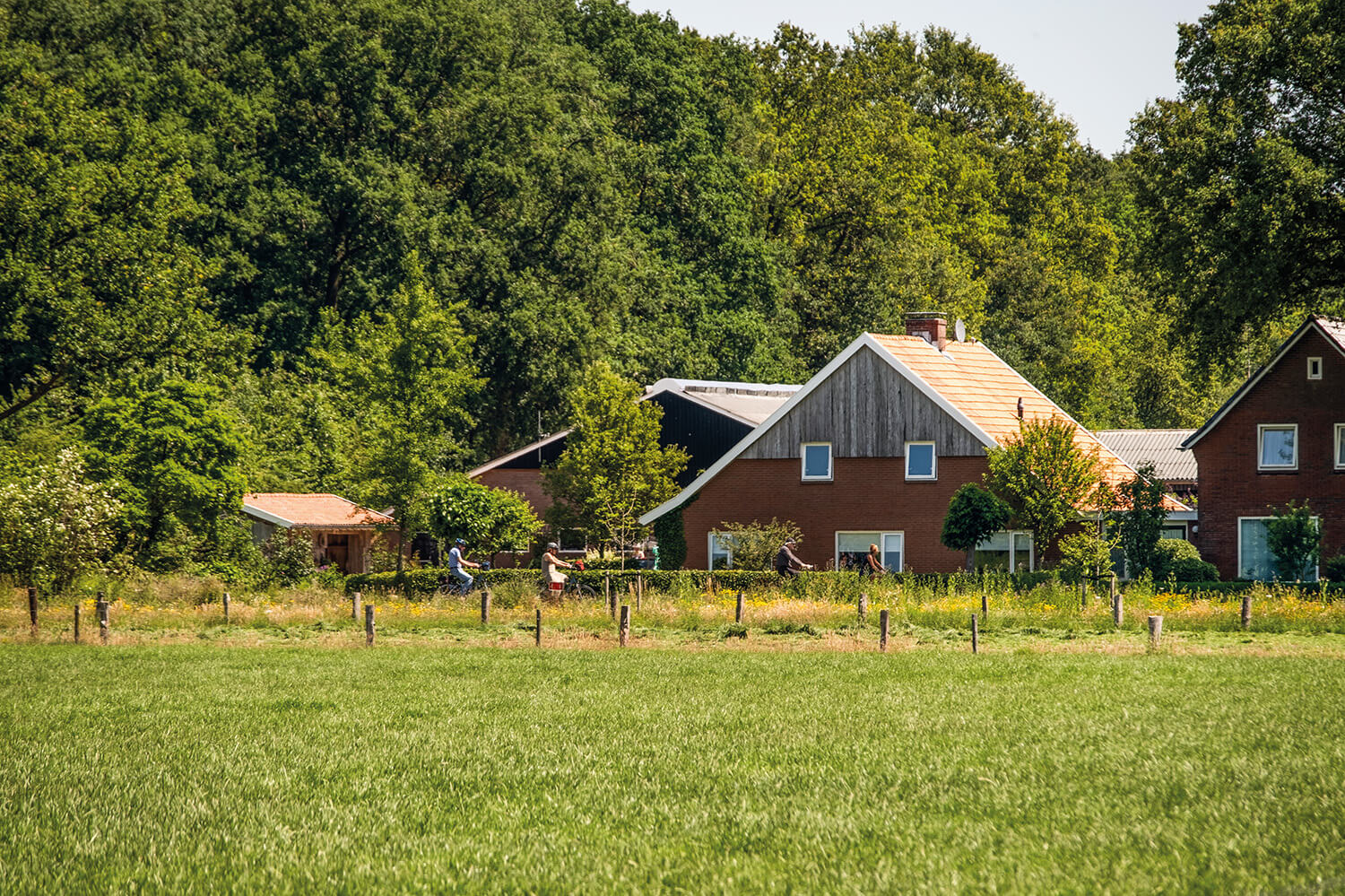 Camping Drijfveer Tusken de Marren4