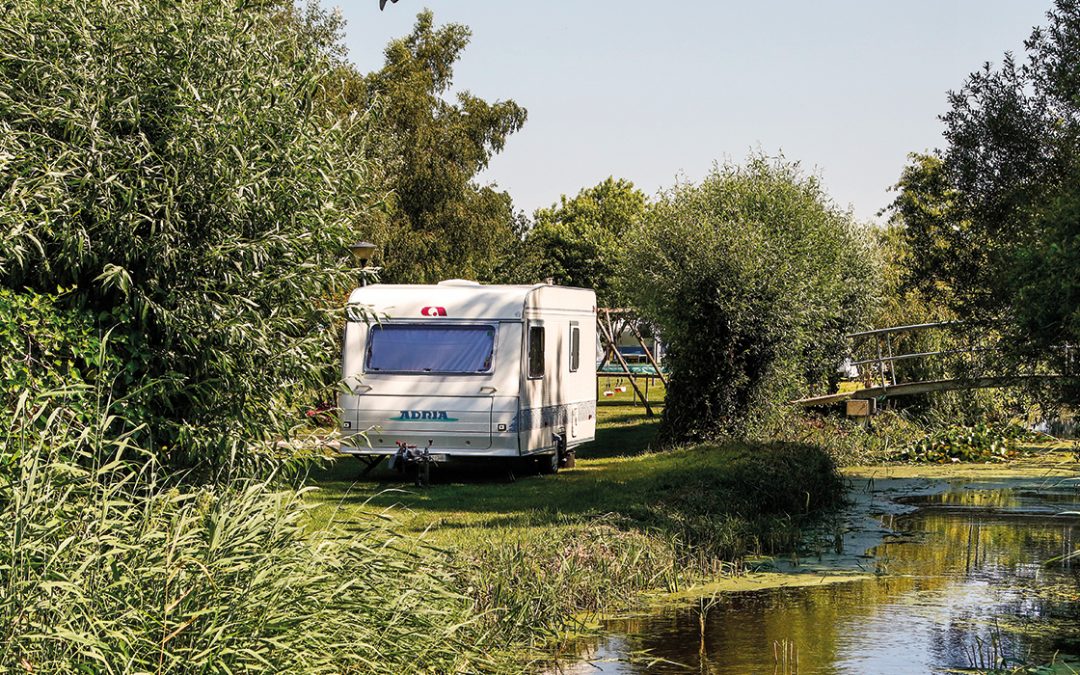 Boerencamping Weidevogelzicht