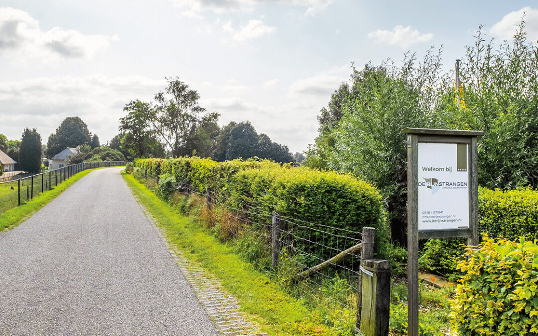 Camping de Rijnstrangen