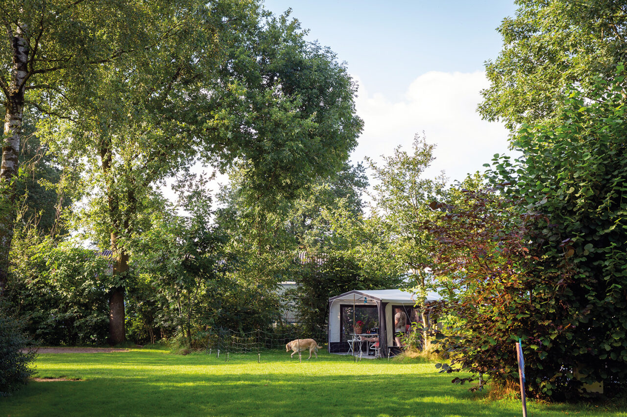 Camping De Oldenhove Caravannen!