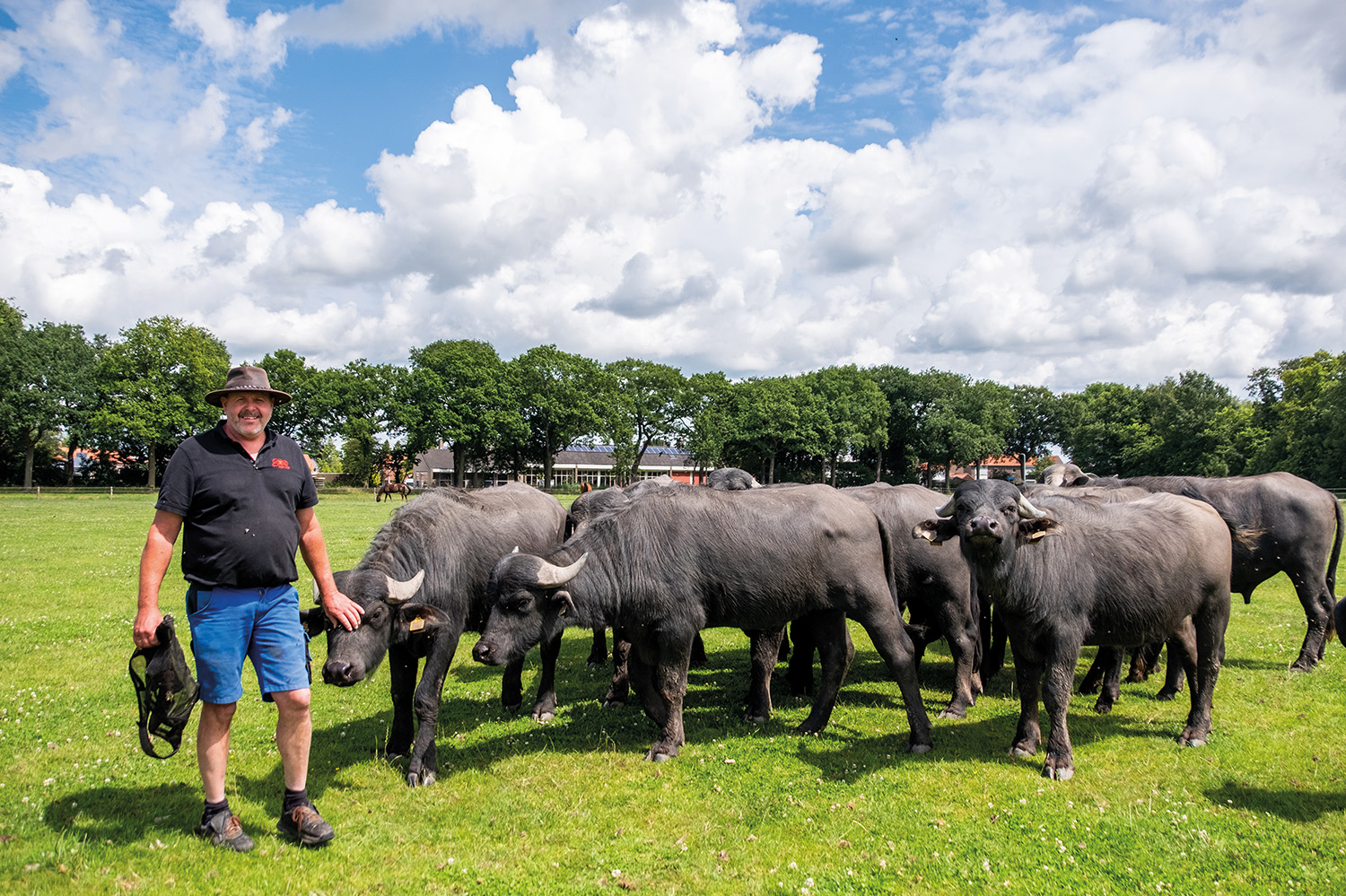 Camping Drijfveer Tusken de Marren4